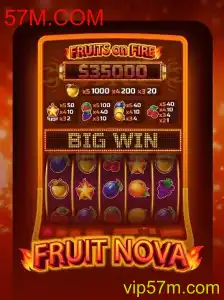 FruitNova: Descubra o Saboroso Mundo do Jogo Empolgante